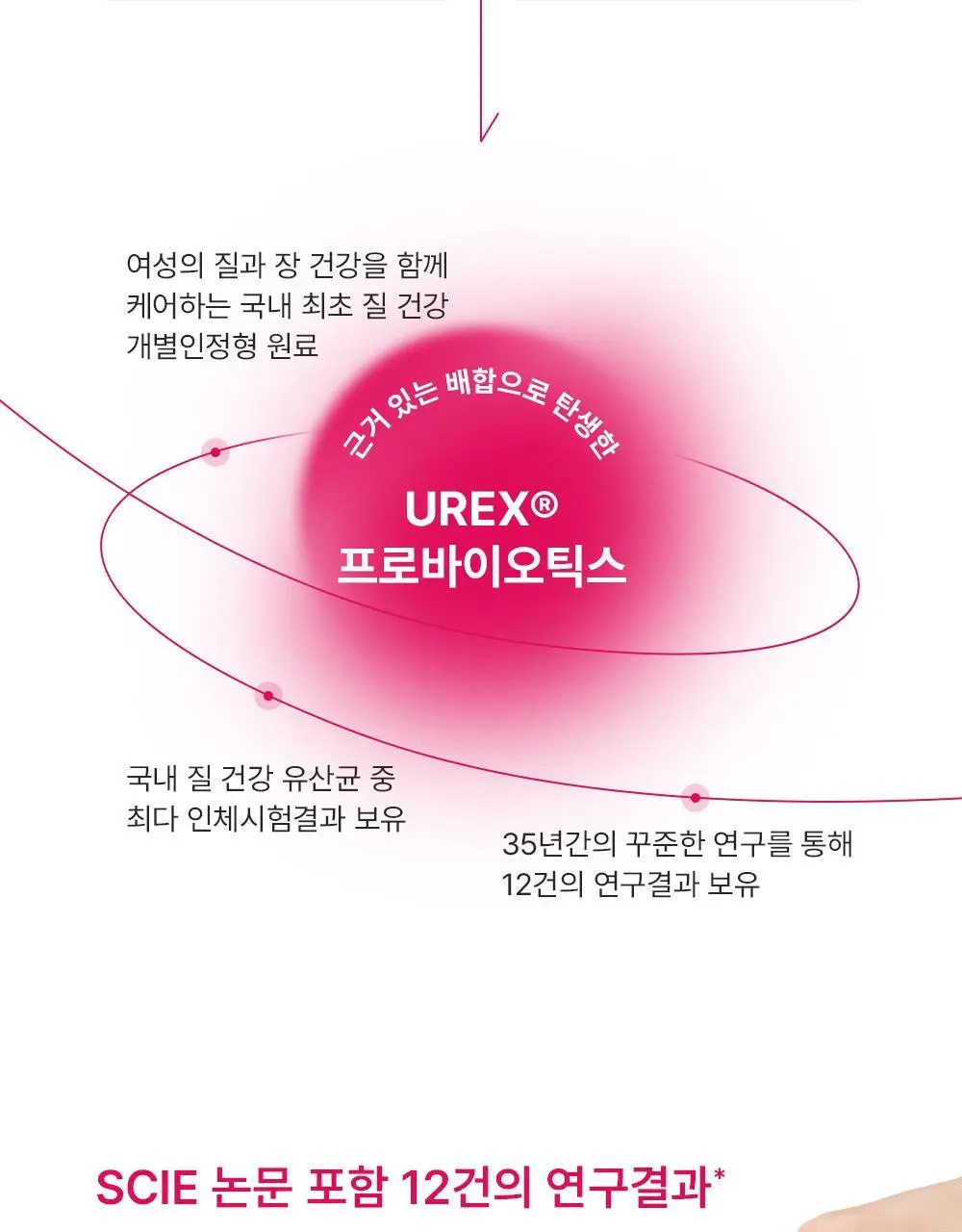 [호빵맨콜라보] 이너플로라 질유산균 60캡슐+호빵맨 스티커 상세페이지 27